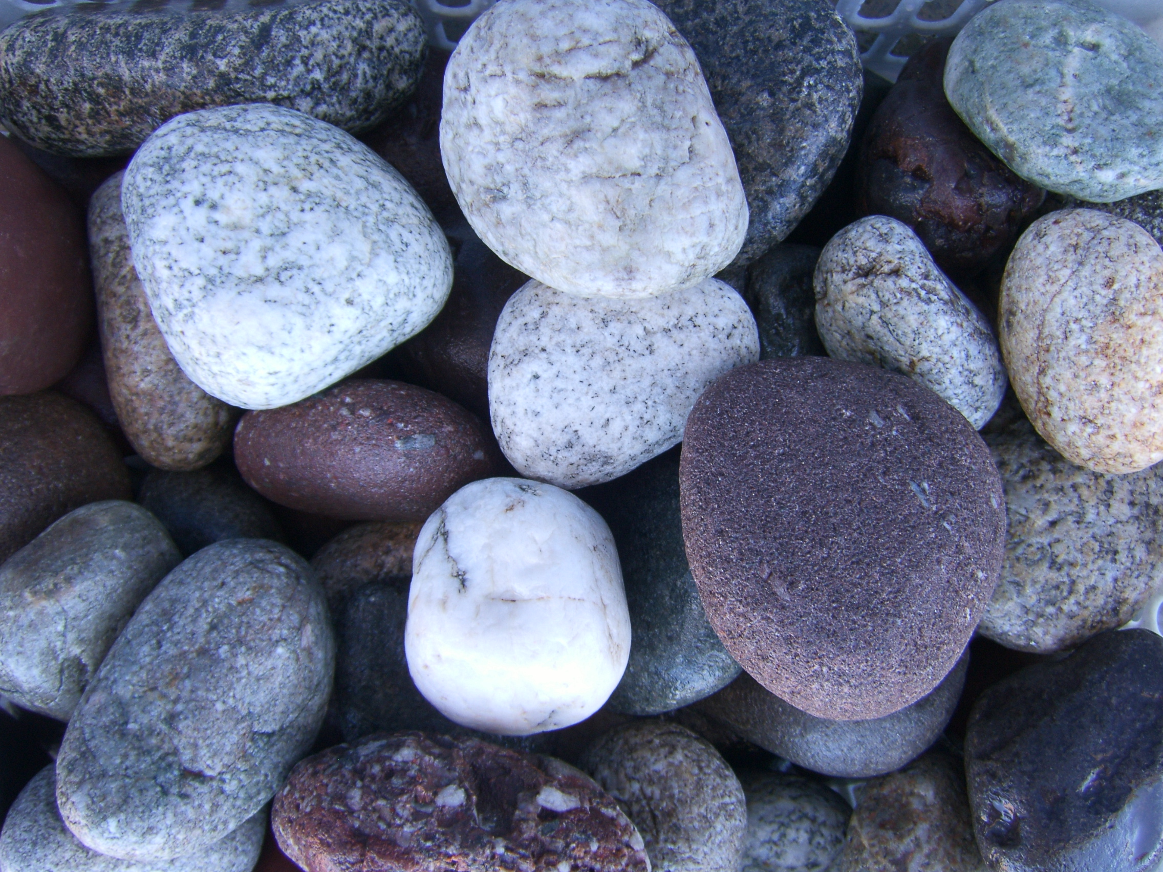 Галька речная цветная округлая 20-30мм купить в Санкт-Петербурге