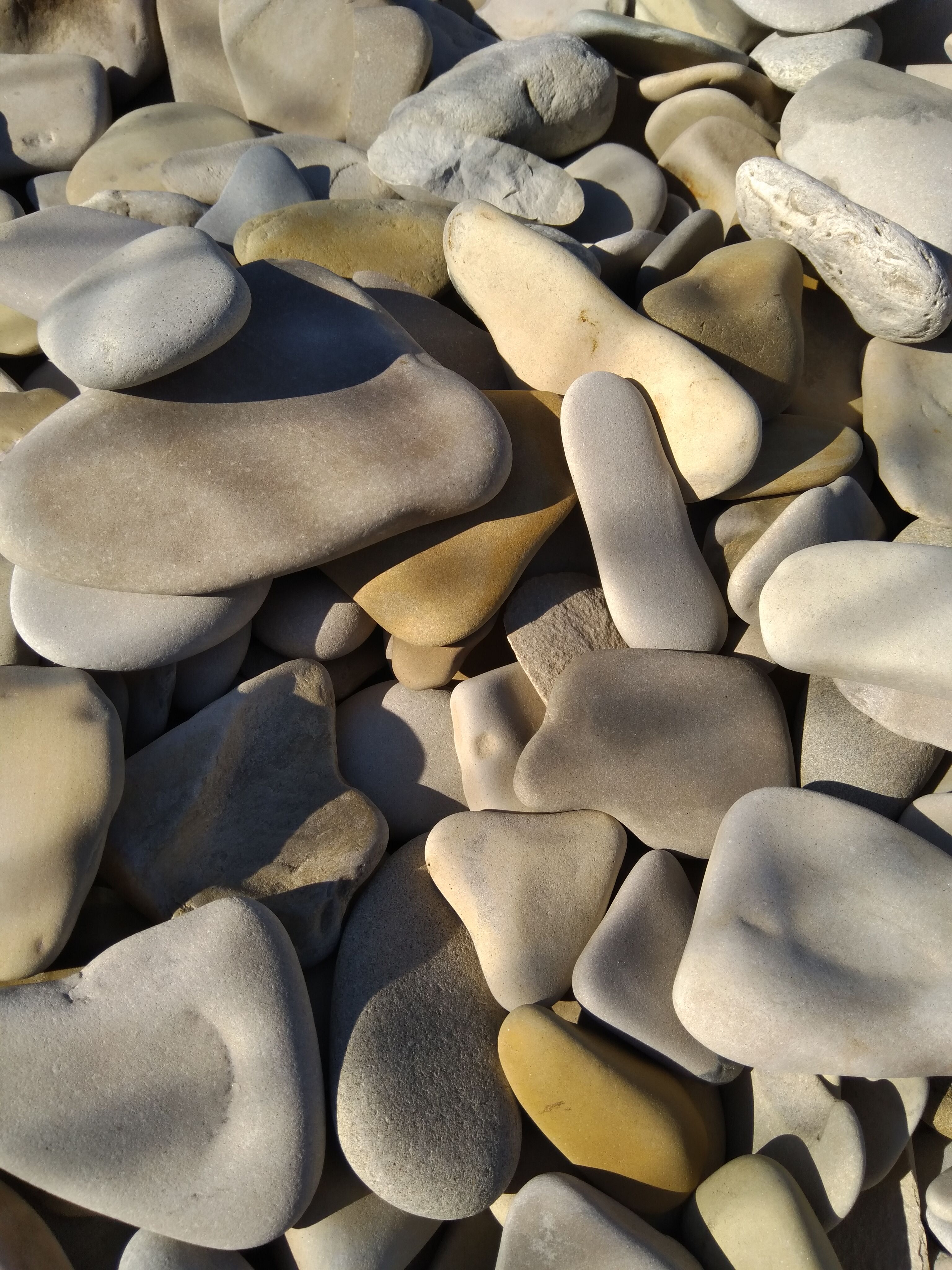 Галька мозаичная светлый Camonica купить в Санкт-Петербурге