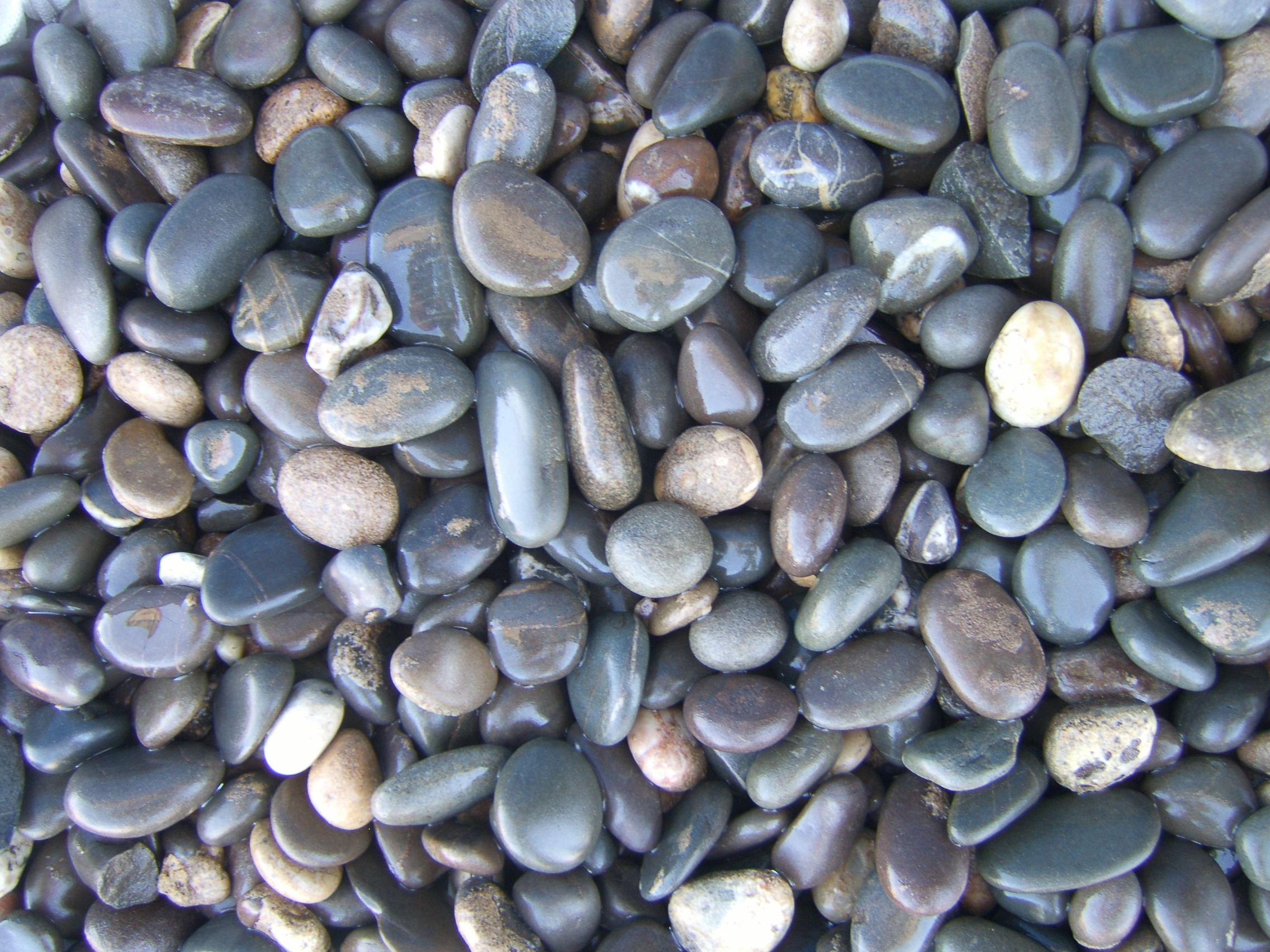 Галька каспийская темный №2 Camonica купить в Санкт-Петербурге