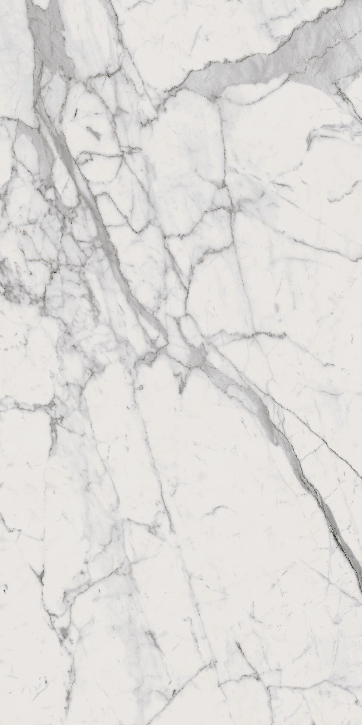 Керамогранит Шарм Эво Статуарио люкс 120x278x0.6см 1шт/3.34м2/уп Италон купить в Санкт-Петербурге