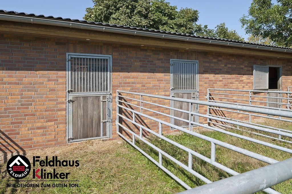 Кирпич ручной формовки Feldhaus Klinker K686WDF sintra ardor calino купить в Санкт-Петербурге