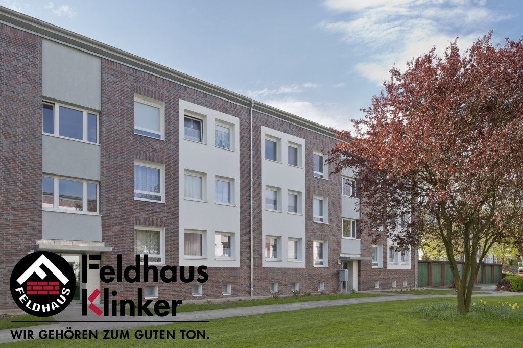 Кирпич клинкерный FeldHaus K560DF 240х115х52мм 576шт/пд купить в Санкт-Петербурге