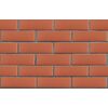 ЛСР Кирпич лицевой 1NF пустотелый красный гладкий купить в Санкт-Петербурге