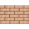 ЛСР Кирпич рядовой полнотелый (янтарный) 1НФ М-150 купить в Санкт-Петербурге