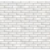 Recke Glanz 1-18-00-0-00 Кирпич облицовочный Белый 1НФ 250х120х65мм 480шт/пд купить в Санкт-Петербурге
