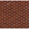 Recke Glanz 1-48-01-0-00 Кирпич облицовочный Красный Бордовый 1НФ 250х120х65мм 480шт/пд купить в Санкт-Петербурге