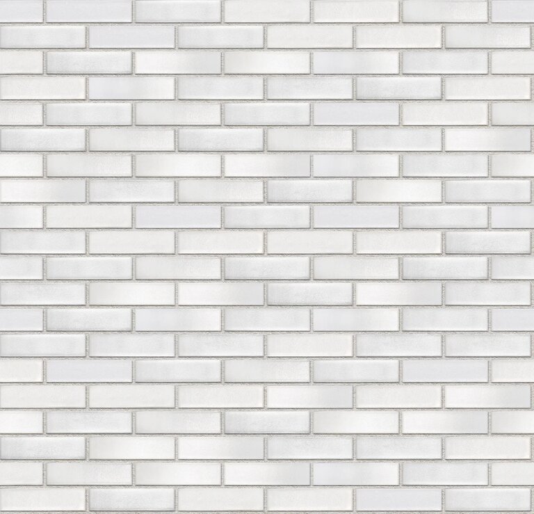 Recke Glanz 1-18-00-0-00 Кирпич облицовочный Белый 0,7НФ 250х85х65мм 660шт/пд купить в Санкт-Петербурге