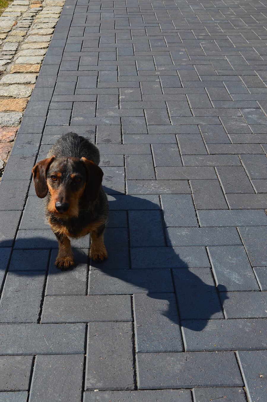 Vandersanden Брусчатка клинкерная Meissen 200х100х45мм 630шт/пд купить в Санкт-Петербурге