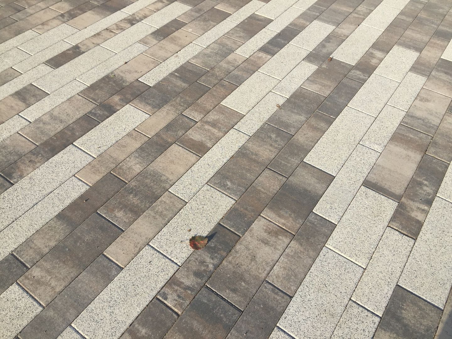 Паркет Б.9.Псм.8 Листопад гладкий песчаник купить в Санкт-Петербурге