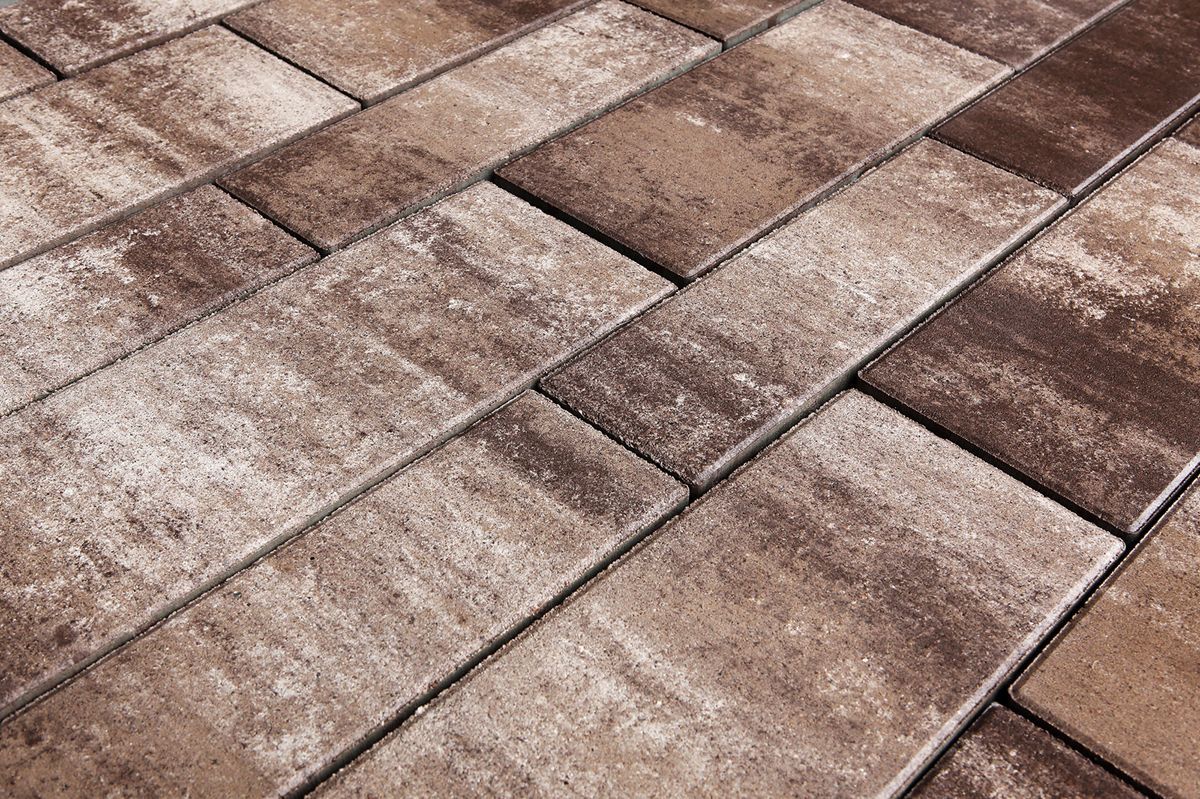 Паркет Б.9.Псм.8 гладкий листопад Хаски купить в Санкт-Петербурге