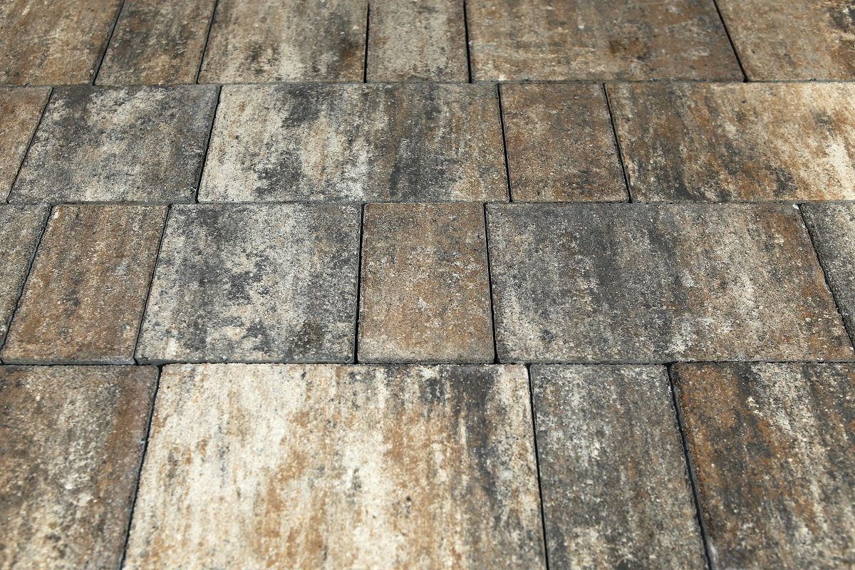 Брусчатка Старый город Б.1.Фсм.6 Листопад гладкий песчаник купить в Санкт-Петербурге