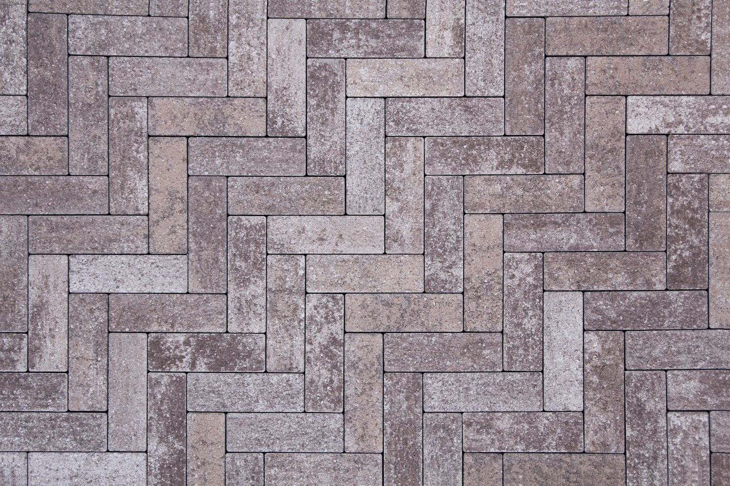 Паркет Б.4.П.6 Листопад гладкий хаски купить в Санкт-Петербурге