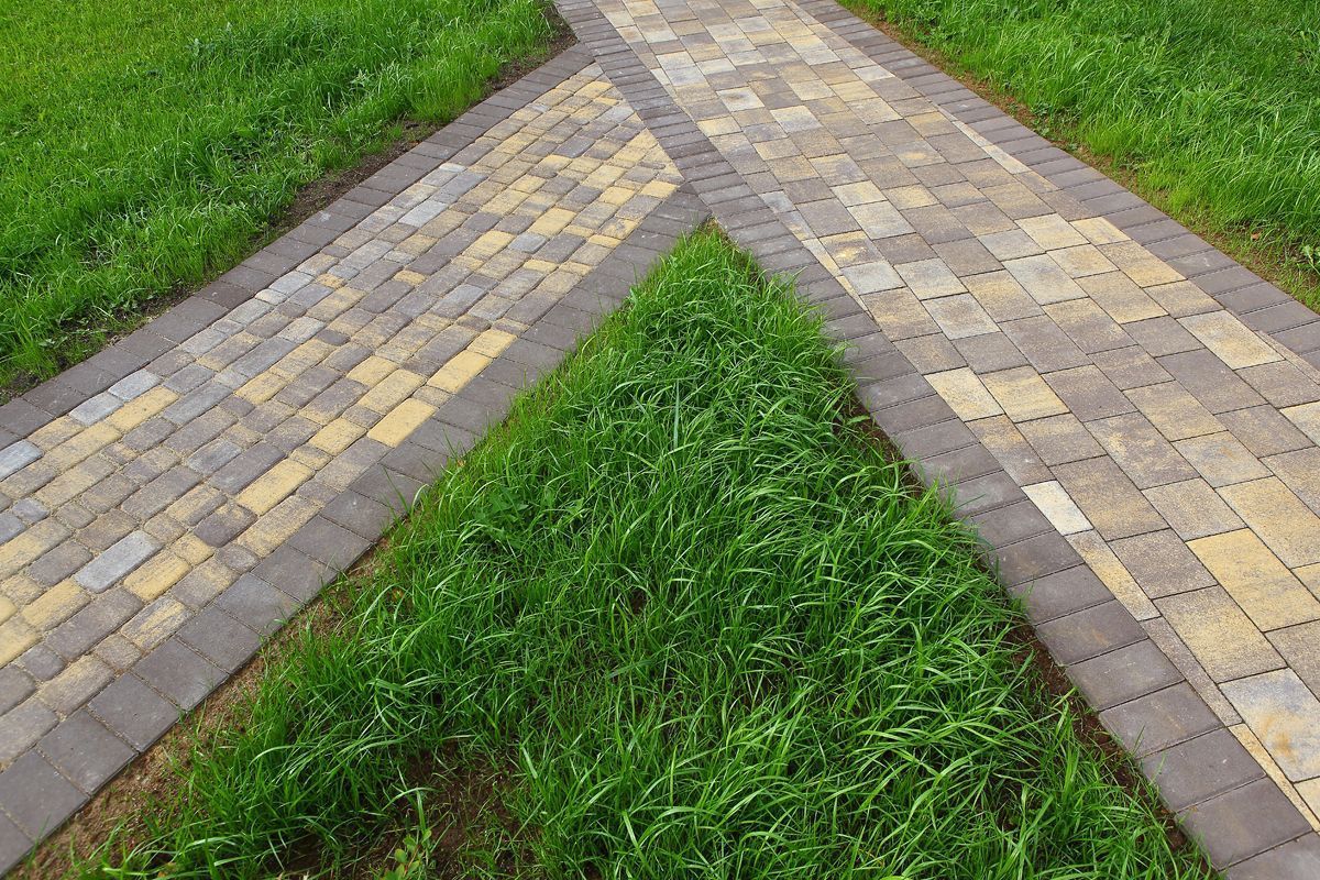 Новый город B.3.Фсм.8 Листопад гладкий янтарь купить в Санкт-Петербурге