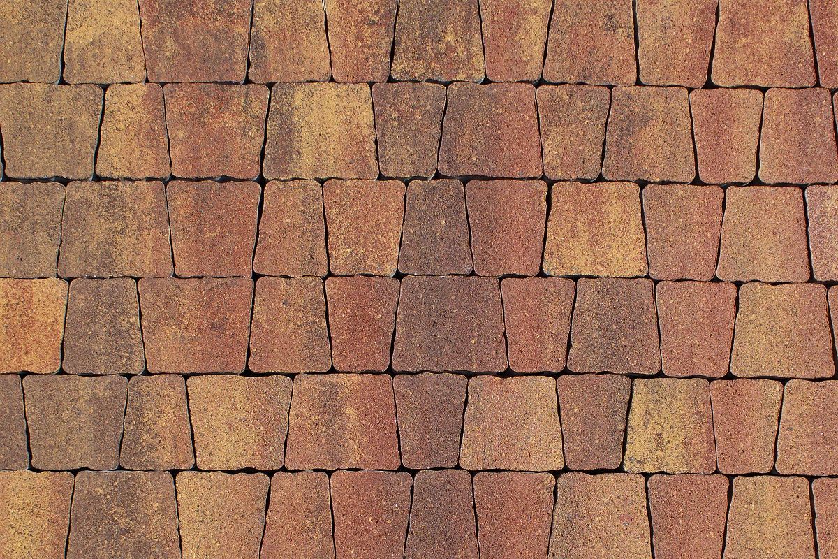 Антик Б.3.А.6 Листопад гладкий осень купить в Санкт-Петербурге