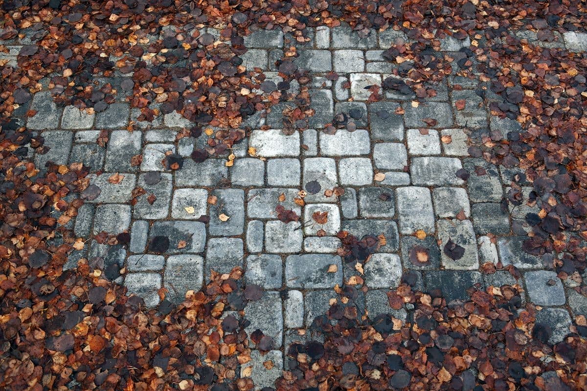 Брусчатка "Классико" Б.4.КО.6 Листопад гладкий антрацит купить в Санкт-Петербурге