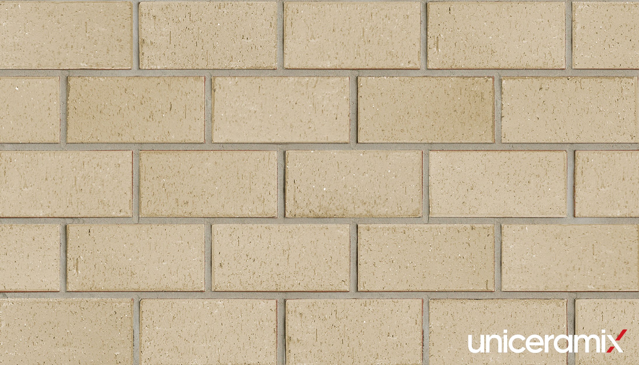 Тротуарная плитка UX2116 Beige натуральная 200x100x16мм 40шт/уп Uniceramix купить в Санкт-Петербурге