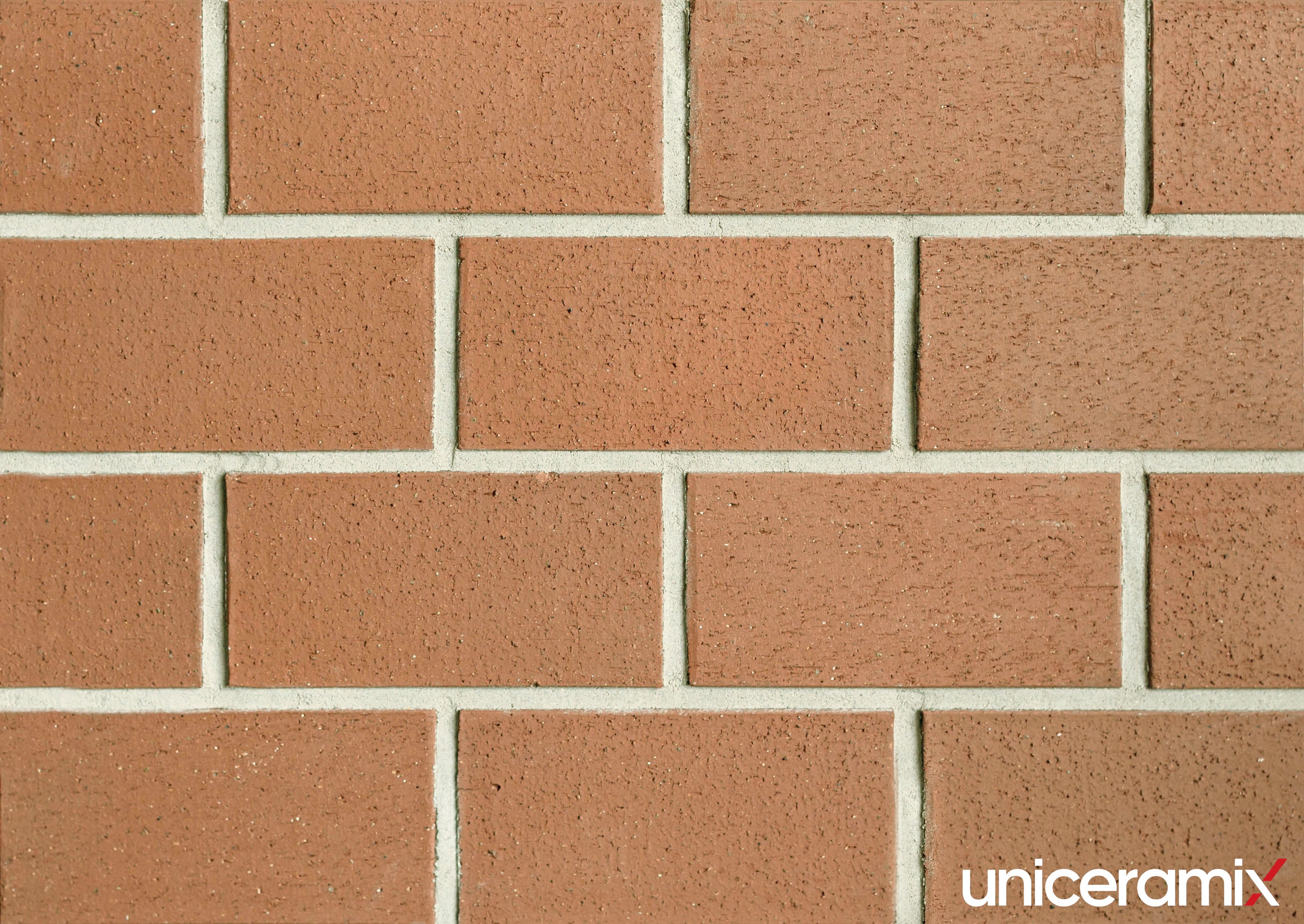 Тротуарная плитка UX3316 Red натуральная 200x100x16мм 40шт/уп Uniceramix купить в Санкт-Петербурге