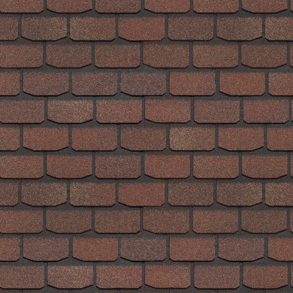 арахис арахис