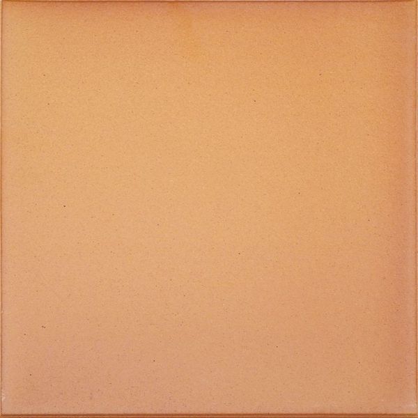 Плитка напольная NATURA 016 Terra 244x244x14мм 16шт/уп CANADA GRES купить в Санкт-Петербурге