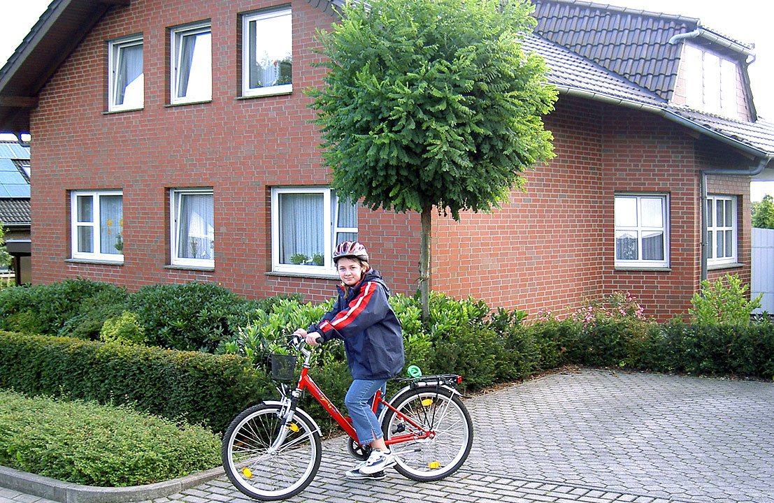 Плитка WESTERWALD bunt glatt DF 240x14x52мм Bannbersheid Roben купить в Санкт-Петербурге