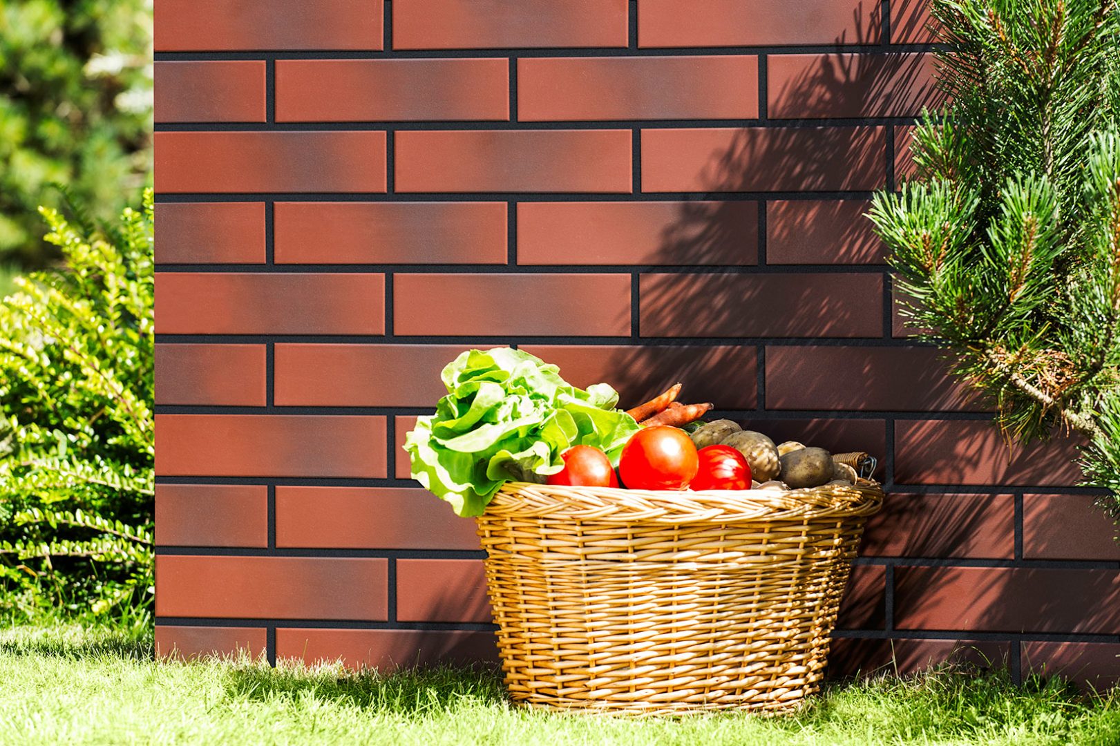 Плитка клинкерная под кирпич Elewacja gladka burgund 9560 пестр 24.5х6.5х0.65 мат 32шт/упак Cerrad купить в Санкт-Петербурге